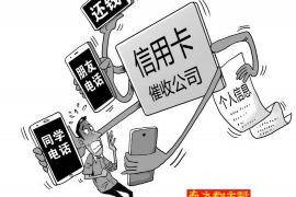 合作企业清欠服务